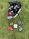 Scotty Cameron Collection For Sale Read Full Description For Full Pricing