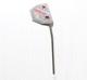Scotty Cameron Select 2015 Golo 5 Dual Balance 37 Putter Good Rh 1302201